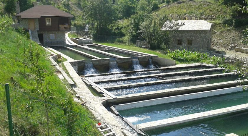 Гостевой дом Etno Selo Vrelo & Camping Беране Экстерьер фото